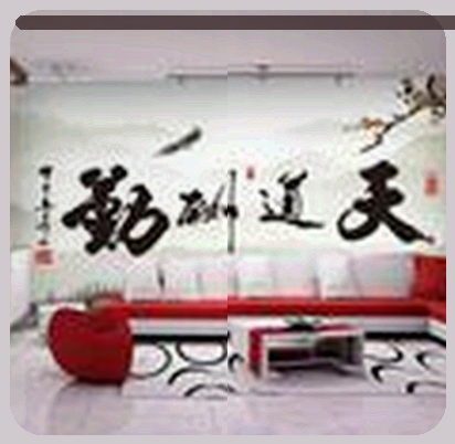 陈洋